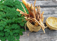 Moringa