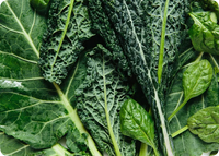 Lutein