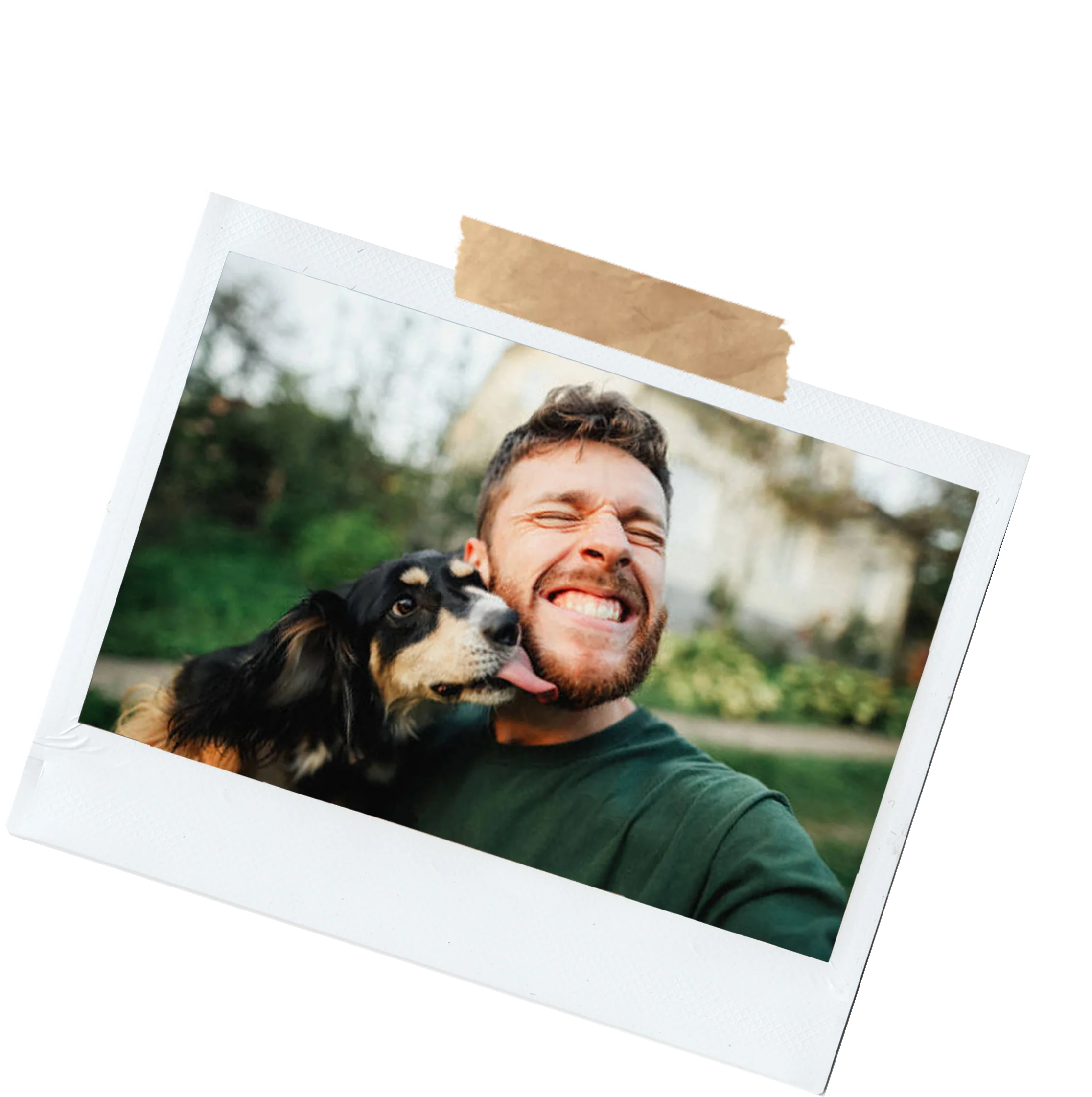 Dogs Group