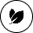 Tick Image